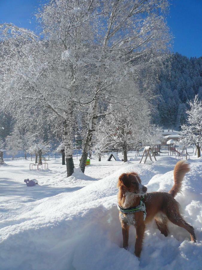B&B Ca Dei Baroni Пелицано Екстериор снимка